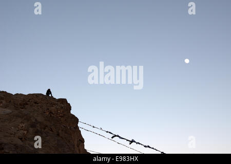 Tibetischer Mönch Bespannung Gebet Fahnen in der Nähe von Kloster über Leh, Ladakh, Indien. Stockfoto