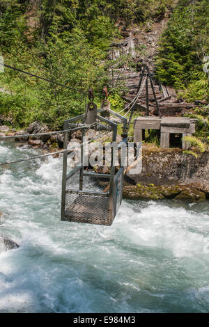 Übernahme von Carpenter Creek auf die Galena Trail, New Denver, Slocan Valley, West Kootenay, Britisch-Kolumbien, Kanada (M Seilbahn Stockfoto