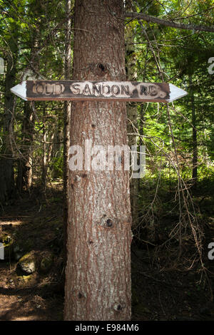 Alten Sandon Road bei Alamo Abstellgleis, eine verlassene Minenstadt entlang der Galena Trail und Carpenter Creek, Slocan Valley West Kooten Stockfoto