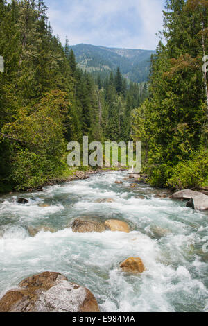 Übernahme der Seilbahn Carpenter Creek am Galena Trail, New Denver, Slocan Valley, West Kootenay, Britisch-Kolumbien, Kanada Stockfoto