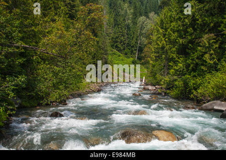 Übernahme der Seilbahn Carpenter Creek am Galena Trail, New Denver, Slocan Valley, West Kootenay, Britisch-Kolumbien, Kanada Stockfoto