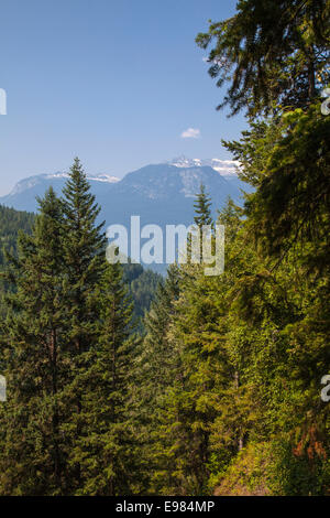 Galena Trail, New Denver Slocan Valley, West Kootenay, British Columbia, Kanada Stockfoto