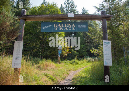 Galena Trail, New Denver Slocan Valley, West Kootenay, British Columbia, Kanada Stockfoto