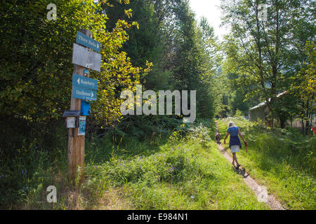 Galena Trail, New Denver Slocan Valley, West Kootenay, British Columbia, Kanada (MR) Stockfoto