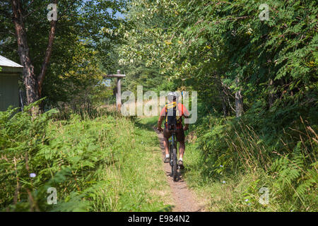 Galena Trail, New Denver Slocan Valley, West Kootenay, British Columbia, Kanada Stockfoto