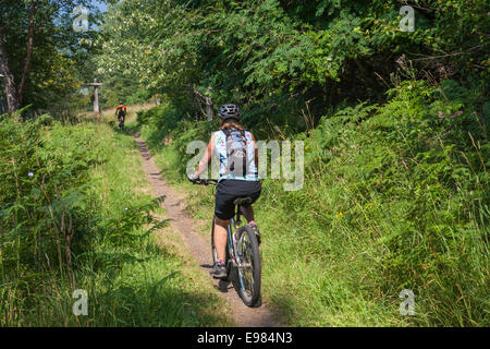 Galena Trail, New Denver Slocan Valley, West Kootenay, British Columbia, Kanada Stockfoto