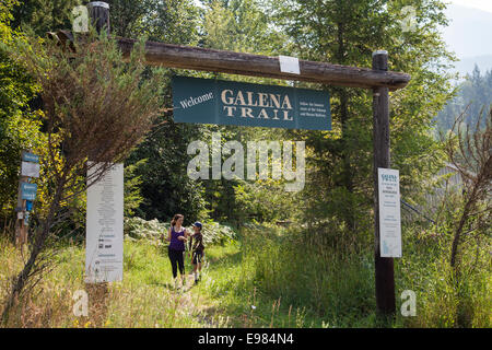 Galena Trail, New Denver Slocan Valley, West Kootenay, British Columbia, Kanada (MR) Stockfoto