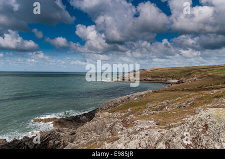 Porth y Bribys an der Küste von Anglesey in Nordwales mit Blick auf die Schären Stockfoto