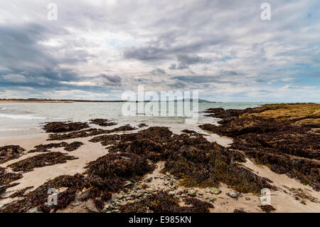 Porth Tywyn-Mawr Strand Anglesey North Wales Stockfoto