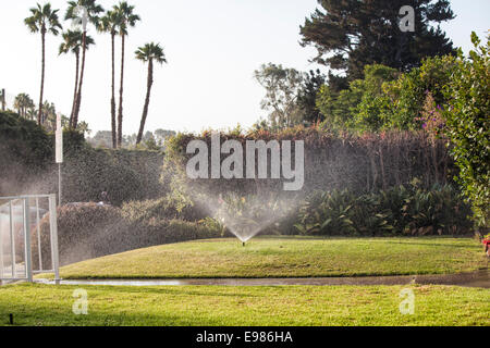 Rasen wird während der schweren Dürre im Sommer 2014 durch Sprinkler bewässert. Cheviot Hills, Los Angeles, Kalifornien, USA Stockfoto