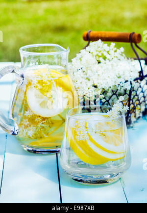 Zitrone und Zeder Erfrischung. Blühende Zeder Limonade mit Wasser und Zitrone Scheiben im Freien auf einem Holztisch. Ein Korb mit blühenden Zeder im Hintergrund Stockfoto