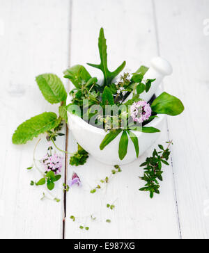 Verschiedene Kräuter in einem Mörser Blüte mit Stößel auf weißem Holz Hintergrund Stockfoto