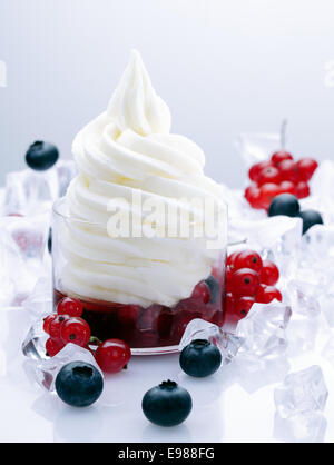 Fruchtiges Frozen Joghurt Dessert mit Johannisbeeren und Heidelbeeren im Glas Stockfoto