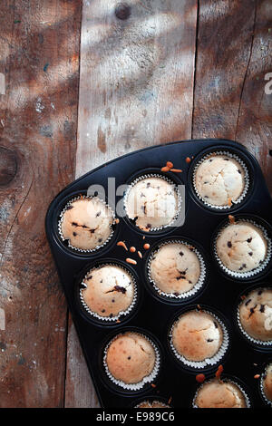 Draufsicht auf ein Backblech mit frisch gebackenen Muffins aus dem Ofen nehmen, abkühlen auf eine alte hölzerne Oberfläche mit Exemplar Stockfoto