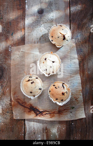 Erhöhte Ansicht auf köstliche Schokoladen-Muffins auf einem alten Grunge-Papier. Stockfoto