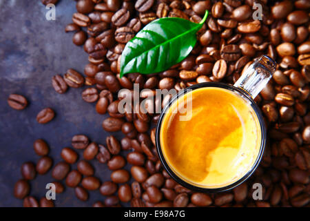 Tasse Kaffee mit Bohnen und grüne Kaffee Pflanzenblattes Stockfoto