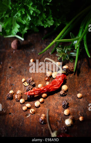 Hot Chilipfeffer mit verstreuten Pfefferkörner und Kräutern auf eine alte Küche aus Holz-Tischplatte hervorgehoben Stockfoto