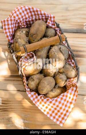 Nahaufnahme von einem Metallkorb voller Frische Frühkartoffeln, Schuss aus Vogelperspektive Stockfoto