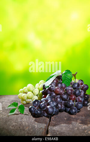 Trauben von frischen roten und weißen Trauben im Freien auf einer Steinmauer konzeptionelle entweder Farm frische Tafeltrauben oder Sorten in einem Weingut für die Weinproduktion Stockfoto