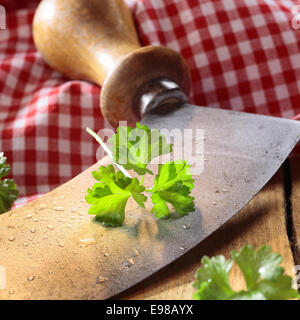 Nahaufnahme von einem modernen Kraut Cutter (Wiegemes) mit Holzgriffen und ein Bund Petersilie auf der Klinge. Stockfoto