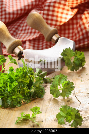 Nahaufnahme von einem modernen Kraut Cutter (Wiegemes) mit Holzgriffen und ein Bund Petersilie auf der Klinge. Stockfoto