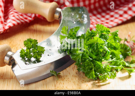 Nahaufnahme von einem modernen Kraut Cutter (Wiegemes) mit Holzgriffen und ein Büschel Petersilie auf der Klinge. Stockfoto