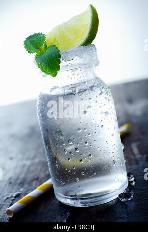 Eis-Glas auf einem Holztisch mit einem Keil von Kalk und Minze. Schauen Sie sich mein Portfolio für mehr Cocktails. Stockfoto