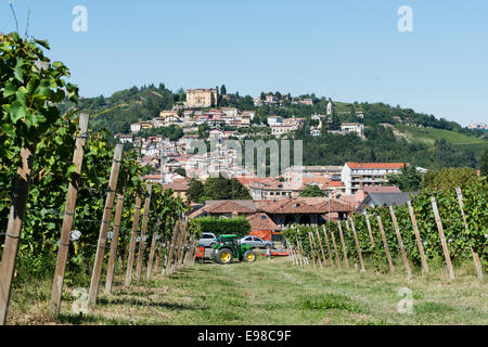 Italien, Panorama über die Weinberge des Piemonts: Langhe Roero und Monferrato auf der UNESCO-Welterbe Liste: Ernte in Canelli Stockfoto