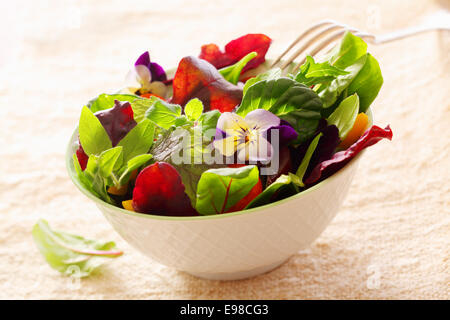 Frische gesunde grüne grüne Kräutersalat mit Kapuzinerkresse Blüten in einer Porzellanschüssel auf einem hohen zentralen Hintergrund serviert Stockfoto