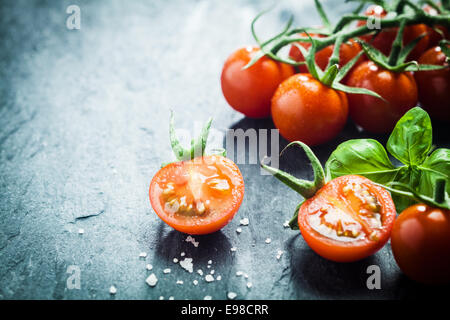 Frische Trauben Tomaten mit Basilikum und grobes Salz für den Einsatz als kochen Zutaten mit halbierten Tomaten im Vordergrund mit Exemplar Stockfoto