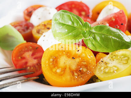 Cherry-Tomaten, frischem Basilikum und Käse bestreut mit Pfeffer und Gewürze, Detailansicht einer Portion in einer Schale mit flachen dof Stockfoto