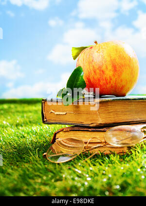 Zwei alte Grunge Vintage Leder Bücher mit ein paar Retro-Brille und einen Apfel liegen in einer grünen Wiese im Sommersonnenschein, Konzeptbild Stockfoto