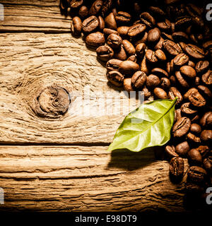 Volle Braten Kaffeebohnen mit einem frischen grünen Blatt Aarranged als Ecke Grenze auf ein quadratisches Format Bild über knorrigen verwitterte Holzbretter mit Exemplar und Vignettierung Stockfoto
