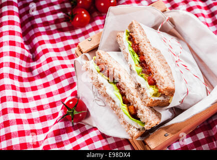 Leckeren herzhaften Salat Sandwiches serviert auf einem roten und weißen aufgegebenes Tischdecke für eine gesunde Natur-Sommer-Picknick mit Exemplar Stockfoto