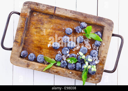 Reife Blaubeeren oder Heidelbeeren in eine alte Grunge Holz Tablett mit einem kleinen blumigen Zweig über einem weißen Holztisch Stockfoto