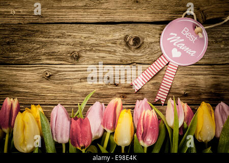 Muttertag oder Baby-Dusche, Begrüßung mit einem Rand von frischen bunten Tulpen in einer Linie auf eine Textur von rustikalen hölzernen Planken mit Exemplar angeordnet Stockfoto