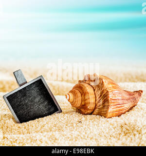 Kleinen Oldtimer blanko schwarz Schiefer halb vergraben im Sand mit einer Muschel auf einem sonnigen tropischen Strand, Nahaufnahme im quadratischen format Stockfoto