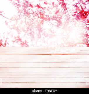 Hohe Schlüssel Hintergrund rosa Frühling Blüte auf eine Zierkirsche mit Sonne Streulicht und eine leere hölzerne Picknicktisch im Vordergrund, quadratischen format Stockfoto