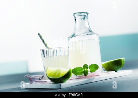 Flasche frische hausgemachte erfrischend spritzige Limonade mit Minze serviert in einem Glas auf einem Tisch im Freien an einem Sommerpicknick mit Exemplar Stockfoto