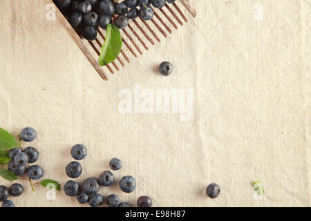 Viele süße Blaue Beeren auf aus weißen Tischdecke Stockfoto