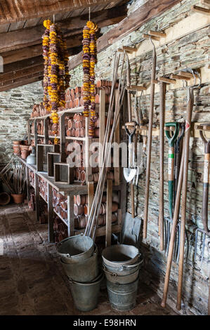 The Lost Gardens of Heligan, Cornwall, Großbritannien. Innenraum eines Vergussschuppens mit gelagerten Gartenwerkzeugen Stockfoto