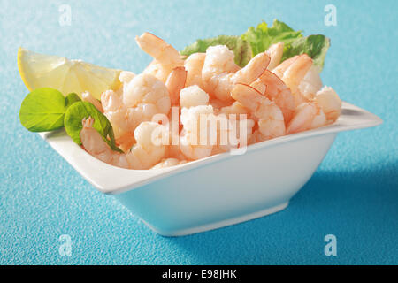 Gegrillte geschälte rosa Garnelen serviert in einem weißen Teller mit frischen grünen grünen Kräutern als eine Gourmet-Vorspeise zu einem Abendessen auf einem blauen Tisch Stockfoto