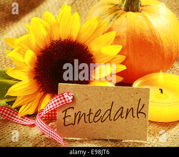 Bunte Thanksgiving-Hintergrund mit einem Geschenkanhänger mit dem deutschen Wort - Erntedank - mit einer lebhaften gelben Sonnenblume orange Kürbis und brennenden Kerze auf rustikalen hessische gruppiert Stockfoto