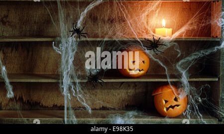 Zwei Halloween Jack-o-Laternen geschnitzt aus Orangen und Spinnweben mit Spinnen und brennende Kerze in den Regalen Stockfoto