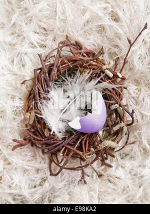Lavendel farbige Eierschale in einem kleinen Nest mit einer Vogelfeder Stockfoto