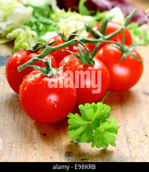 Handvoll frische rote, reife Tomaten mit Wassertropfen auf urigen Holzbrettern. Stockfoto