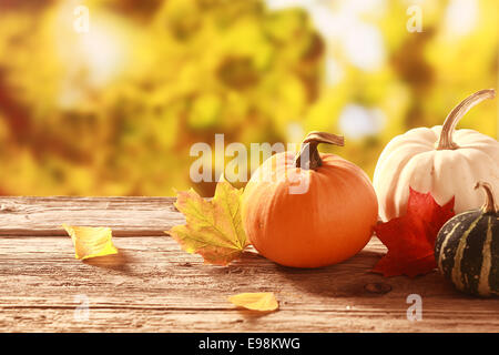 Frische gemischte Kürbis und Kürbis in einem herbstlichen Garten mit bunten goldenes Laub an den Bäumen stehend auf einem alten Holztisch Stockfoto