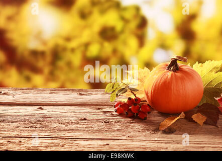 Frische ganze orange Kürbis und rote Hagebutten stehend auf einem alten verwitterten rustikalen Holztisch in einem herbstlichen Garten mit Exemplar Stockfoto