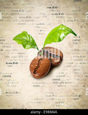 Schlepptau Kaffeebohnen mit grünen Blättern auf einem Hintergrund im Alter von Papier mit dem Wort Kaffee mehrfach wiederholt in verschiedenen Sprachen Stockfoto