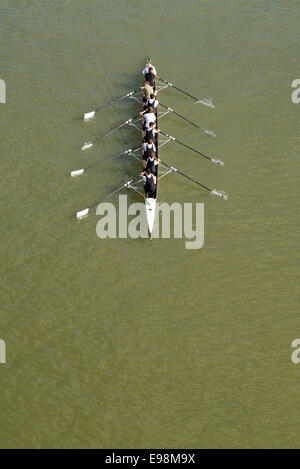 NOVI SAD, Serbien - 18. Oktober 2014: Acht Männer Rudern auf Donau in Novi Sad auf den abgelegenen Traditionsregatta Wettbewerb. Stockfoto